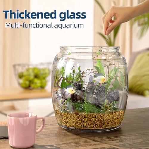 Daitouge 2.5 Gallon Glass Jars with Lids, Wide Opening Large Jar