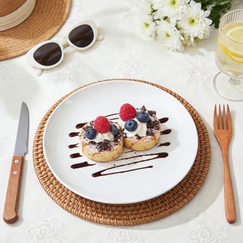 Yachi Ceramic 10 1/4 Inch White Dinner Plates Set of 6 Microwave Oven