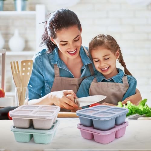 4 Pack Snack Containers, Reusable Bento Snack Box, 2-Cup Capacity