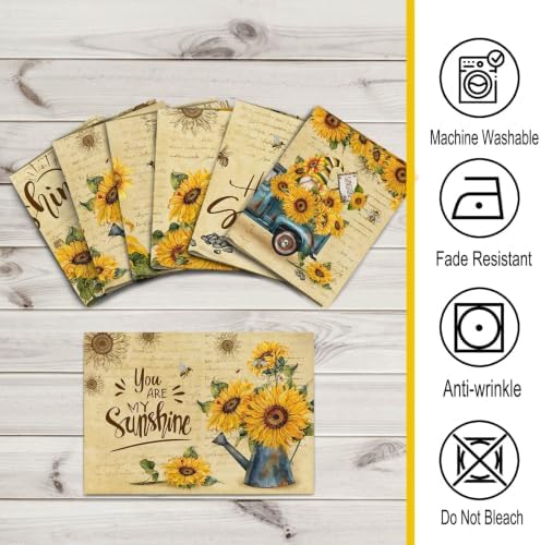 pinata Sunflower Linen Square Summer Spring Placemats Set of 6