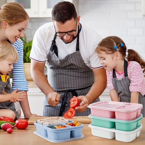 Caperci Wheat Straw Bento Lunch Box Containers for Adults & Kids
