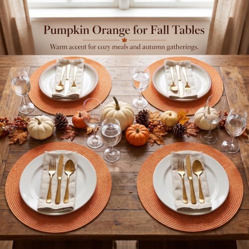 FunWheat Round Braided Placemats Set of 6 Table Mats for Dining Tables