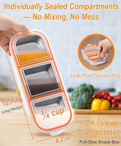 Stainless Steel Snack & Lunch Container, Kids & Adults, 20 oz, 10.7 in