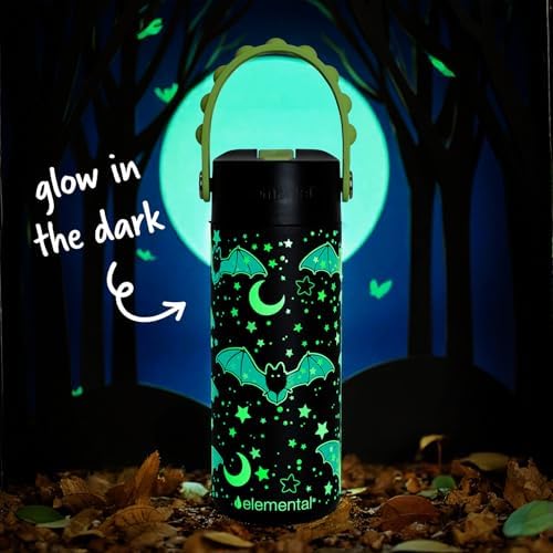 Elemental Core 18oz Insulated Kids Water Bottle Straw Lid & Pop-It