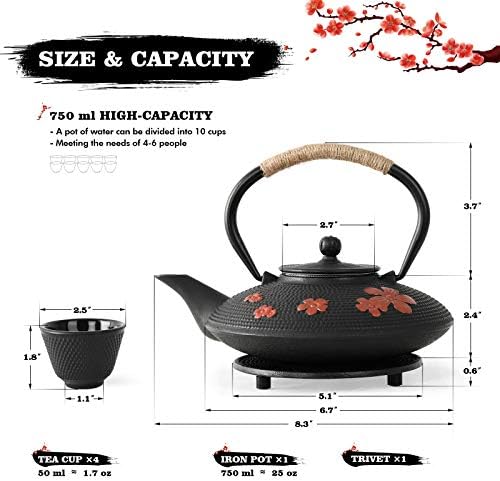 Japanese Style Cast Iron Teapot with Infuser Trivet Tetsubin Kettle