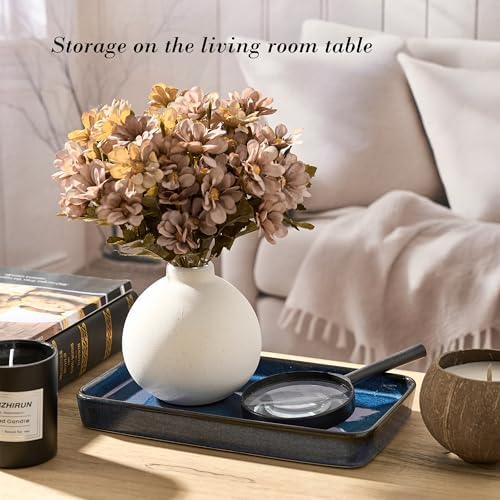 10"×6"×1" Vanity Tray, Blue