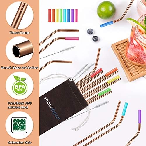 StrawExpert Set of 16 Reusable Stainless Steel Straws with Travel Case