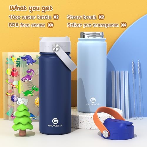 GoKEDA 18oz Kids Water Bottle, 2 Pack Stainless Steel Straw Cup
