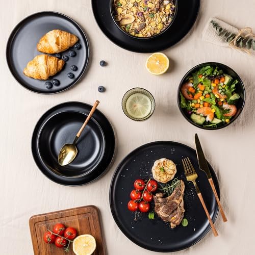 AmorArc Ceramic Dinner Plates Set of 6, 10.25 Inch Stoneware Dishes