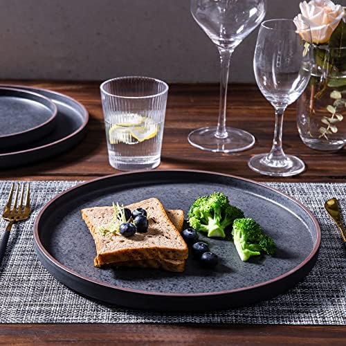 LERATIO Ceramic Dinner Plates Set of 6,10.25 inch Large ceramic plates
