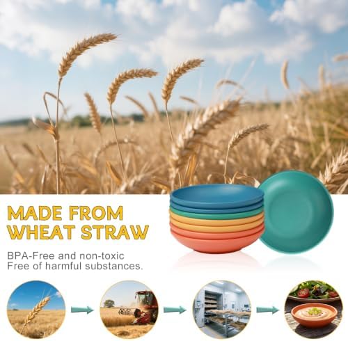 PYRMONT Wheat Straw Colorful Bowls 2 Oz Dipping Bowls for