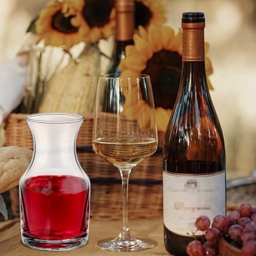 28 Pcs Wine Carafes Glass, 6.5 oz Small Single Serving Decanter