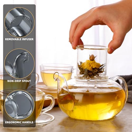 Glass Teapot Set, 40OZ/1200ml Stovetop Safe Glass Tea Kettle with