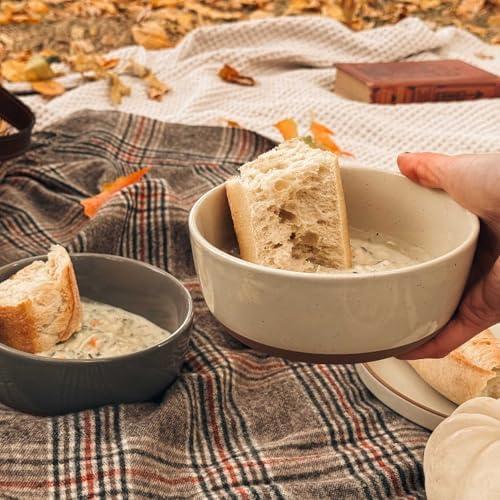 Set of 4 Porcelain Bowls, 25oz - Microwave, Dishwasher & Oven Safe for