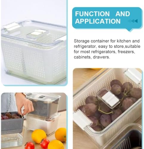 Vegetable Drain Crisper Box with Lid, Partitioned Food Storage