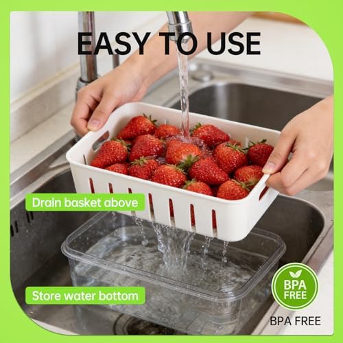 2 Pack Strawberry Containers with Handle and Mesh Screen