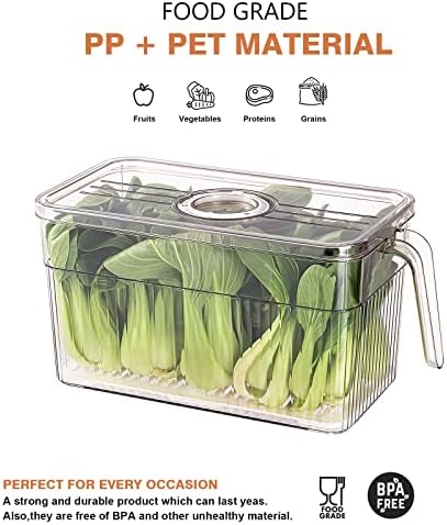 2 Pack Produce Storage Containers for Fridge, 10'' x 5.3'' x 5.2''