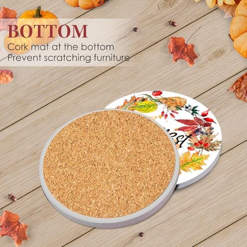 Fall Coasters for Drinks, Set of 6, Ceramic Stone Pumpkin Harvest