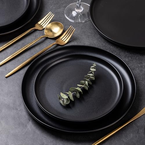 AmorArc Ceramic Dinner Plates Set of 6, 10.25 Inch Stoneware Dishes