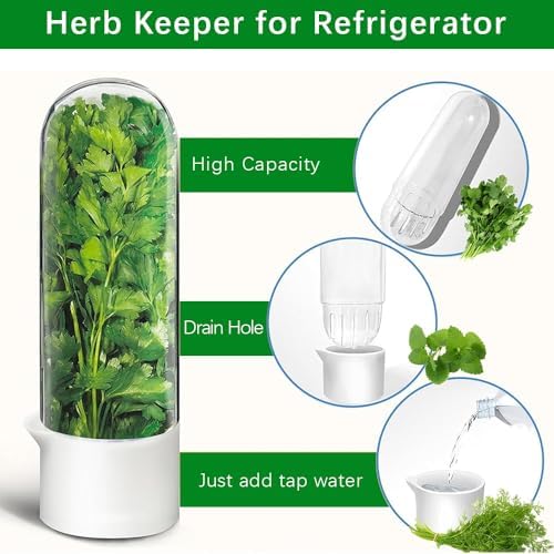 2 Pack Herb Keeper for Refrigerator, Clear BPA-Free
