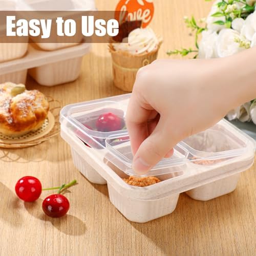 Ziliny 12 Pcs 4-Compartment Snack Boxes, Beige