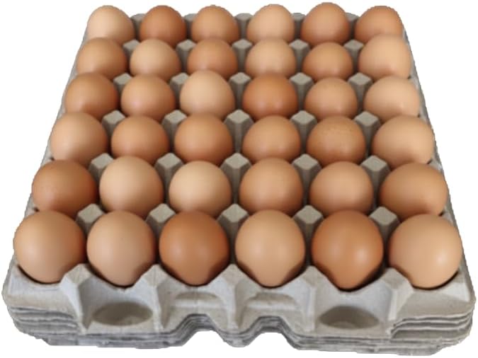 Pulp Fiber Egg Flats, 6 Trays for 30 Large Eggs