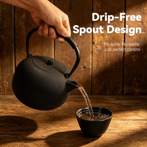 Cast Iron Teapot Set with 2 Cups, 34 oz (1000 ml) Japanese Tea Pot
