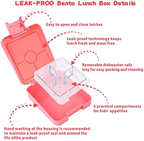 Bento Lunch Box Set for Kids with 10oz Soup Thermo, Leak-Proof Lunch