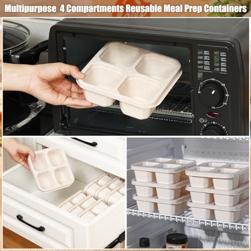 Ziliny 12 Pcs 4-Compartment Snack Boxes, Beige
