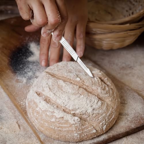 Pumpkin Carving Kit Bread Lame 4PCS Stainless Steel Sourdough Scoring