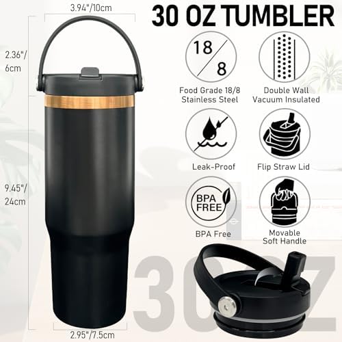 30 oz Tumbler Bulk with Top Handle and Flip Straw Black, 1 Pack