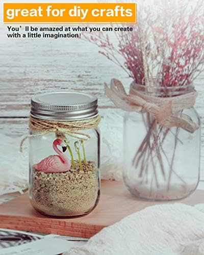 Rainforce 12 oz Mason Jars with Silver Lids, 20 Pack
