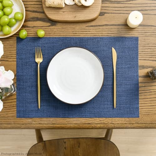 Artoid Mode Navy Blue Vinyl Placemats Set of 4, Washable Heat