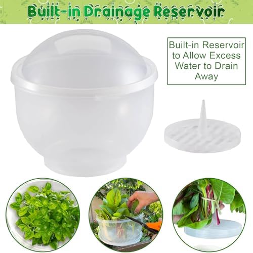 Home-X Lettuce Keeper - BPA-Free Lettuce Keeper for Refrigerator to