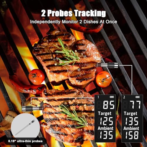 Smart Wireless Meat Thermometer, 2 Probes, 800ft Range