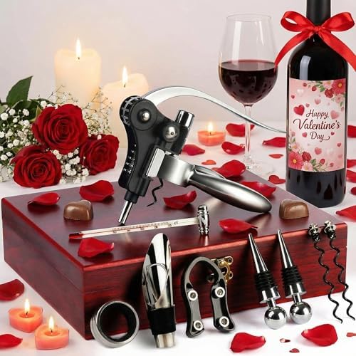 Valentines Day Gifts, 9 PCS Corkscrew Wine Opener Set, Stainless Steel