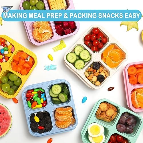 6 Pack Bento Box, 4 Compartment Lunchable Snack Containers with Lids