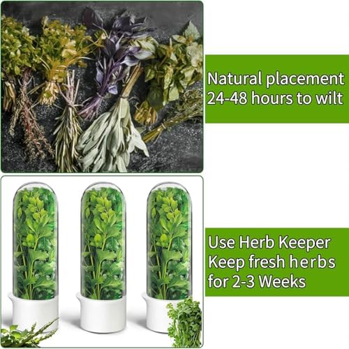 Herb Saver for Refrigerator, Cilantro Container