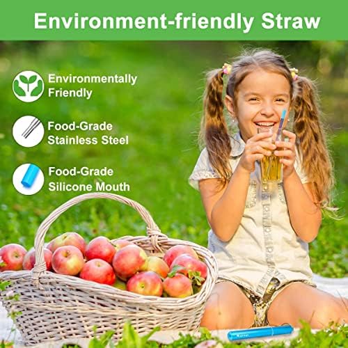 Kynup Reusable Collapsible Metal Straws, Cruise Ship Essentials