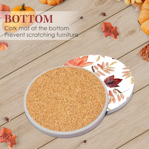 Britimes Fall Coasters for Drinks, Set of 6, Ceramic Stone, Leaf