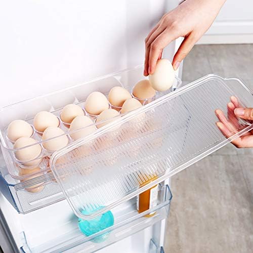 JAMOR 12-Grid Transparent Egg Storage Box
