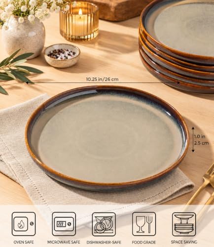 theterra Ceramic Dinner Plates Set of 6, 10.25 Inch Dinnerware Plates