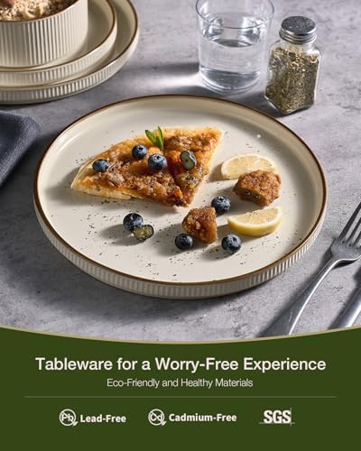 Famiware Stoneware Dinnerware Set for 8, Rimmed Plates, Bowls, Cream Dishes