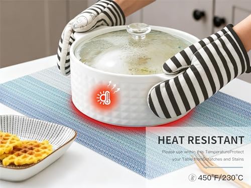 HeloHo Blue Placemats Set of 6,Stain-Resistant Kitchen Table Mats