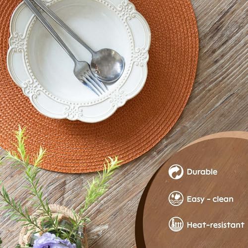 FunWheat Round Braided Placemats Set of 6 Table Mats for Dining Tables