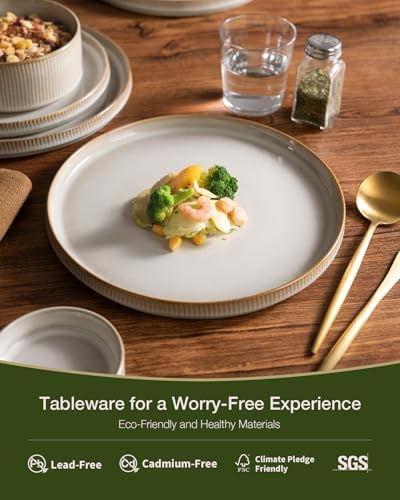 Famiware Star Stoneware Dinnerware Set, Reactive Glaze Plates & Bowls