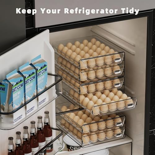 HIYOHIYO 60-Grid Egg Organizer, 2-Tier