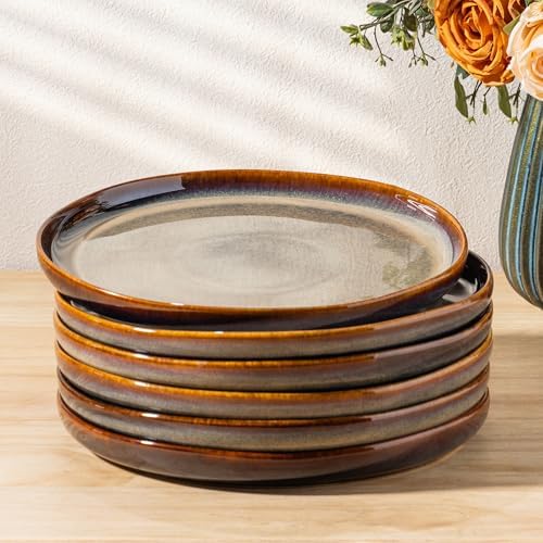 theterra Ceramic Dinner Plates Set of 6, 10.25 Inch Dinnerware Plates