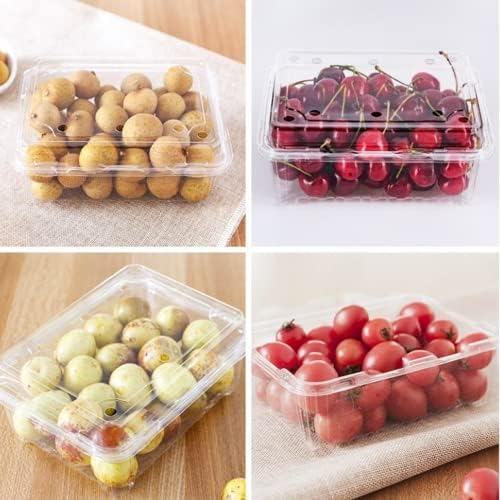 Hewnda 20 Pack Clear Plastic Berry Clamshell Vented Container