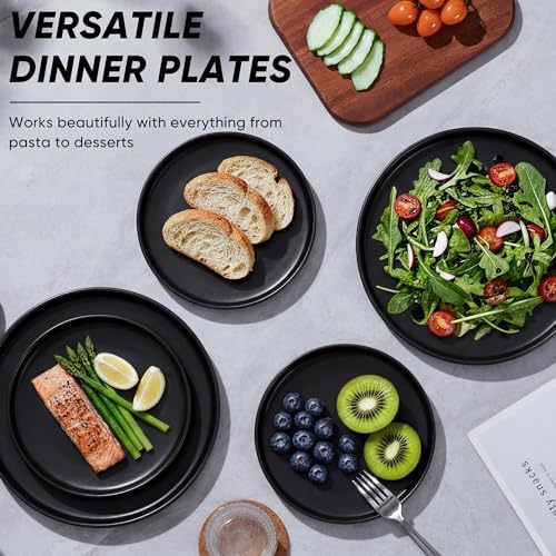 E-far Dinner Plates Set of 6, 10.5 Inch Stoneware Dinner Plate, Black